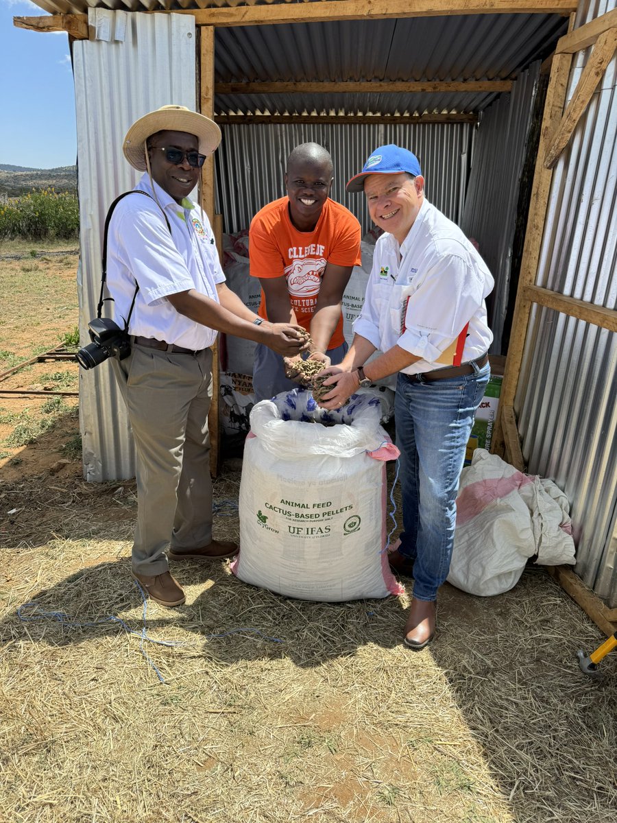 José Dubeux tweet media