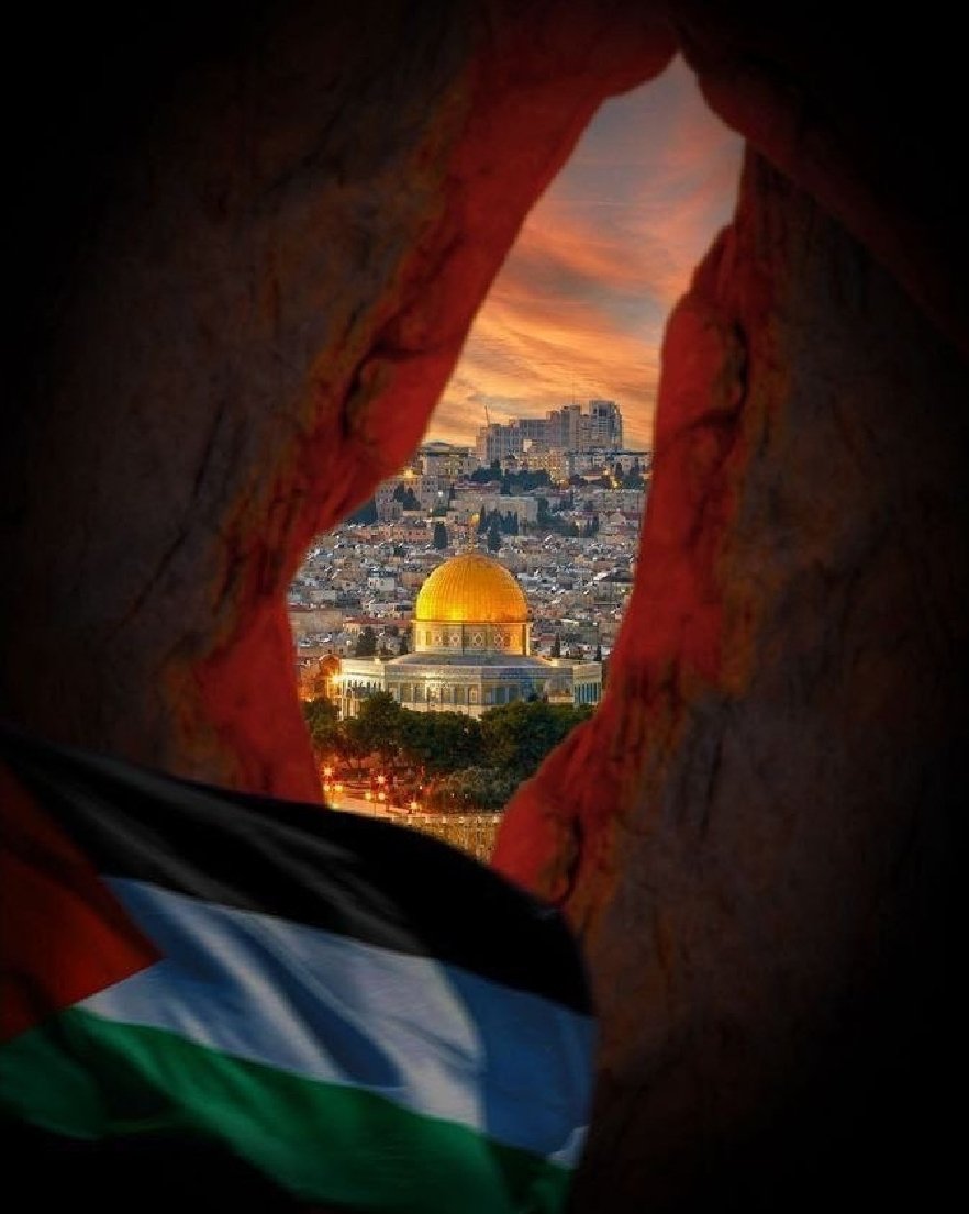 Nehirden denize özgür Filistin.
Yaşasın özgür Filistin 
Yaşasın Özgür gazze. Çok şükür 🤲🤲
#özgürfilistin