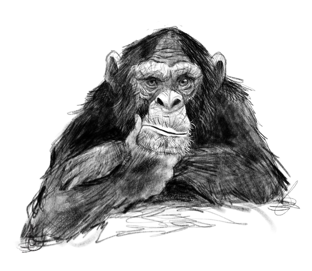 Dave Mottram tweet media