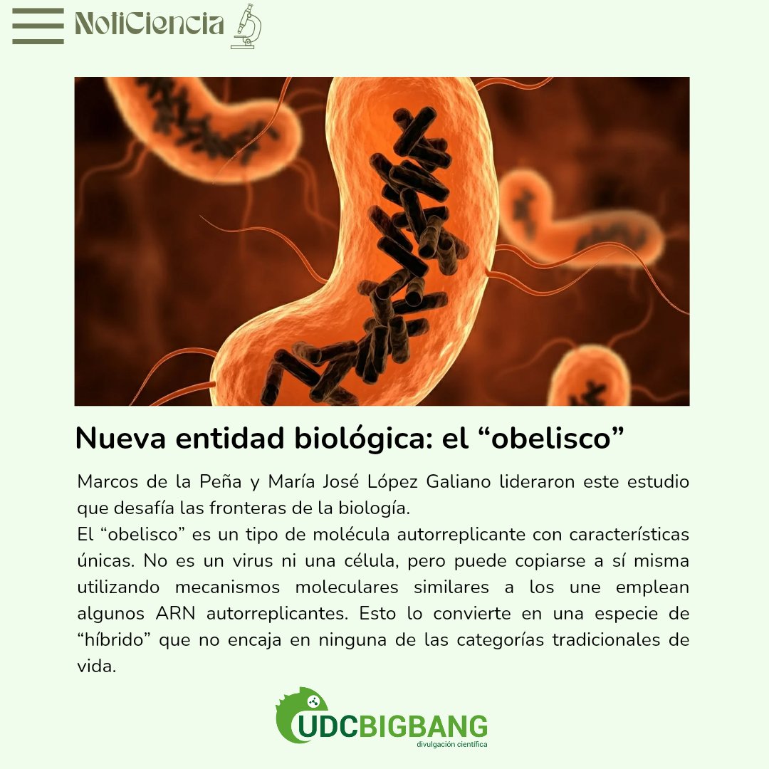 UDCbigbang tweet media