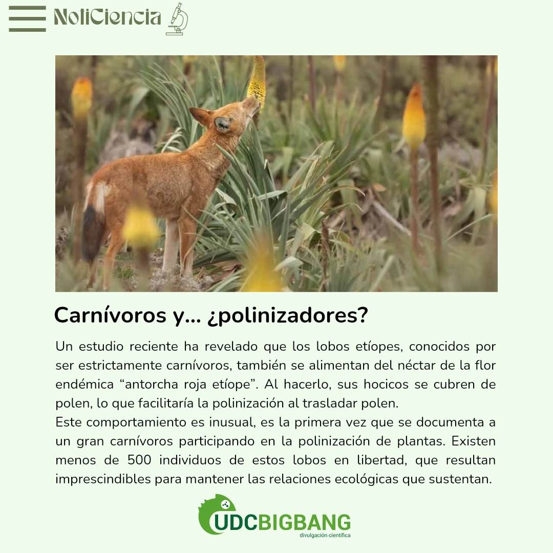 UDCbigbang tweet media