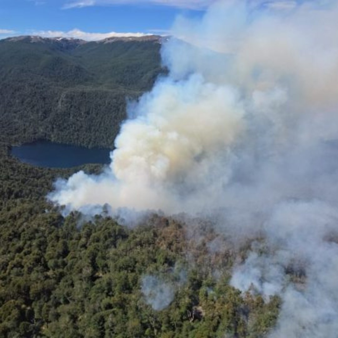 Editor_76's tweet photo. 🔥 Nahuel Huapi
🔥 Tandil
🔥 Epuyen

Tres lugares de la Argentina que no solo padecen el fuego que arrasa con todo, sino también la ausencia de un gobierno que decidió desfinanciar los parques nacionales y poner en riesgo la vida de miles de familias y de brigadistas que no tienen las herramientas necesarias para parar el fuego. Tampoco tienen contrato.
Cuando Milei habla de motosierra, no te olvides que estas son las consecuencias.