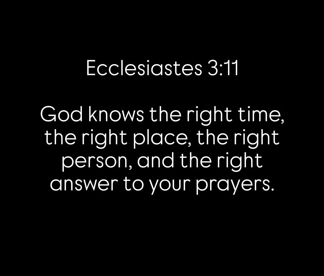 Bible365_'s tweet photo. https://t.co/lCi3VM2r0i