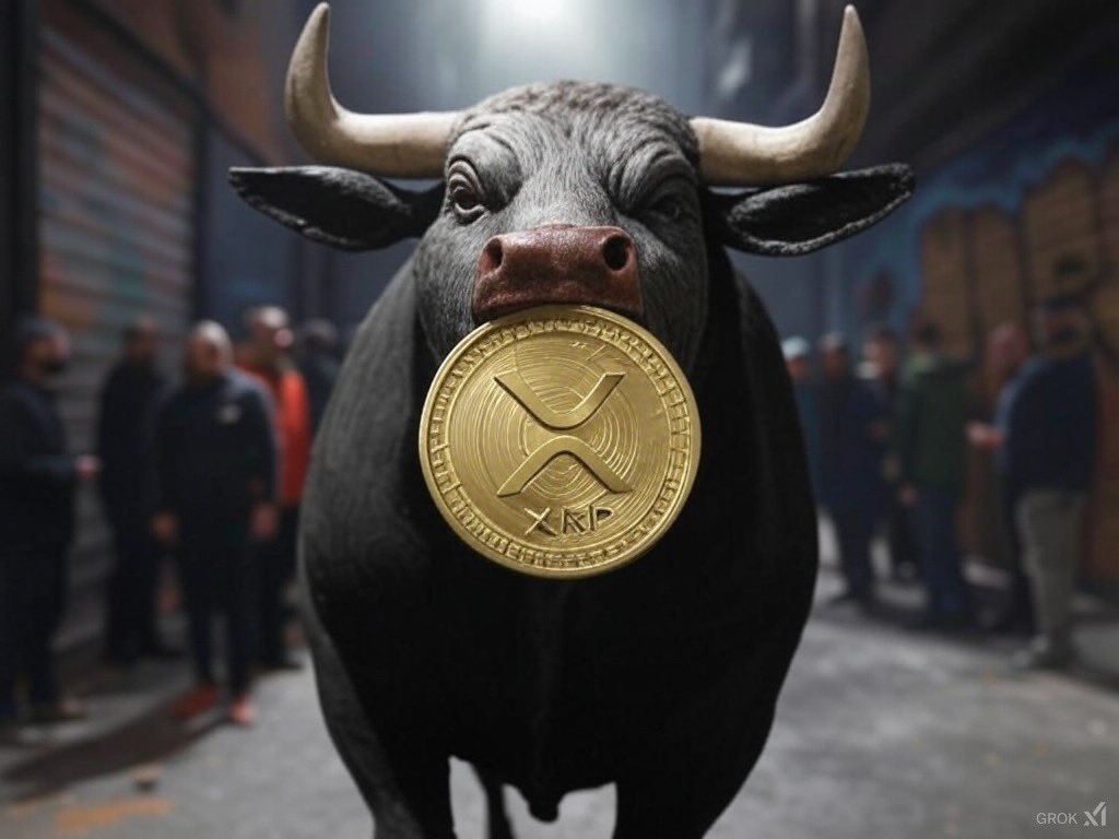 Stormindaman's tweet photo. So you held #xrp

#XRPArmy #XRPHolders #XRPCommunity https://t.co/KqqBLCgNF5