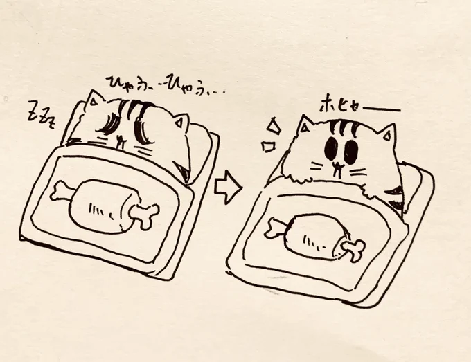おはよ🐯 