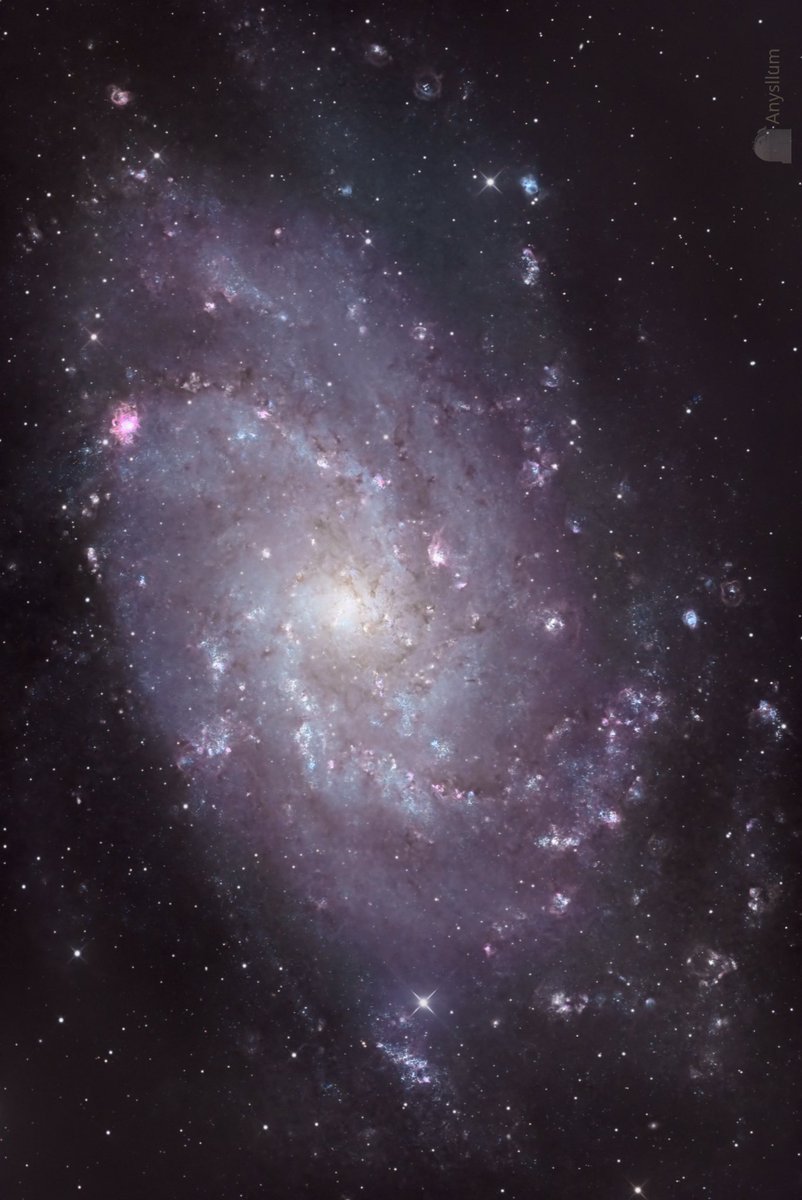The Triangulum galaxy, M33, -2.7 million lightyears far- is a wonderful object but probably will collide with our galaxy in the next 5000 million years…
This amazing image was taken by Jaume Zapata and Xavier Bros @AstroSabadell from the #Anysllum Observatory.