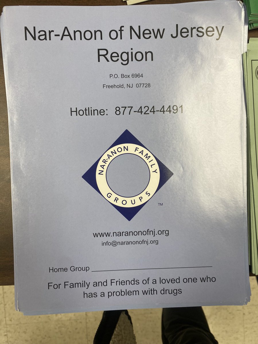 Members of Narcotics Anonymous (NA)  sharing their experiences and resources <a href="/RaiseAcademyFHS/">RAISE ACADEMY</a>.