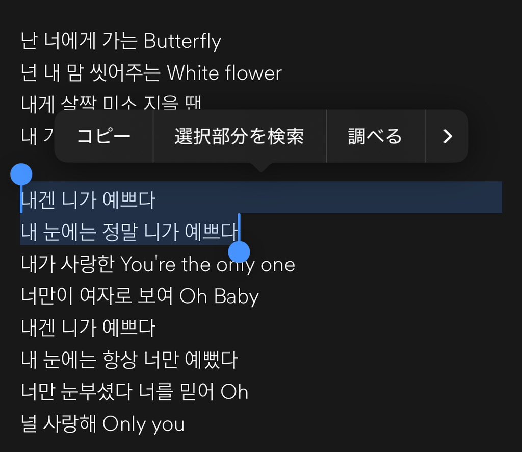 니가 예쁘다~내 눈에는 정말 니가 예쁘당~