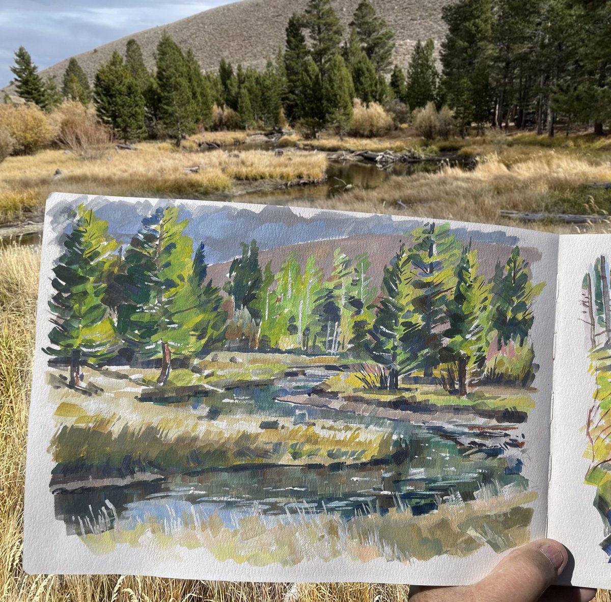 garygeraths's tweet image. Up in the northern eastern Sierra Nevada this fall looking for pretty streams &amp;amp; brilliant fall colors. Had such a grand time. Every day brought more cuts and bruises crashing thru the underbrush &amp;amp; cold mountain waters. Lots more stuff also over at Instagram @garygeraths