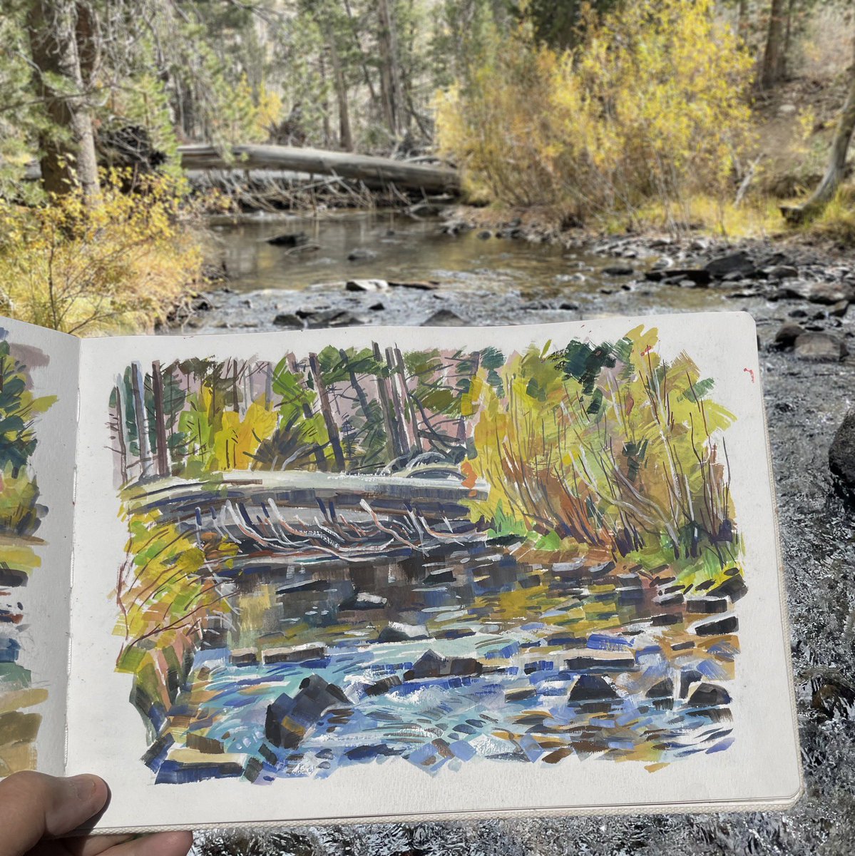 garygeraths's tweet image. Up in the northern eastern Sierra Nevada this fall looking for pretty streams &amp;amp; brilliant fall colors. Had such a grand time. Every day brought more cuts and bruises crashing thru the underbrush &amp;amp; cold mountain waters. Lots more stuff also over at Instagram @garygeraths