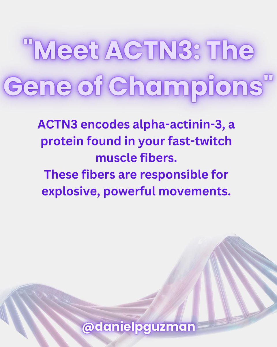 Daniel Guzman tweet media