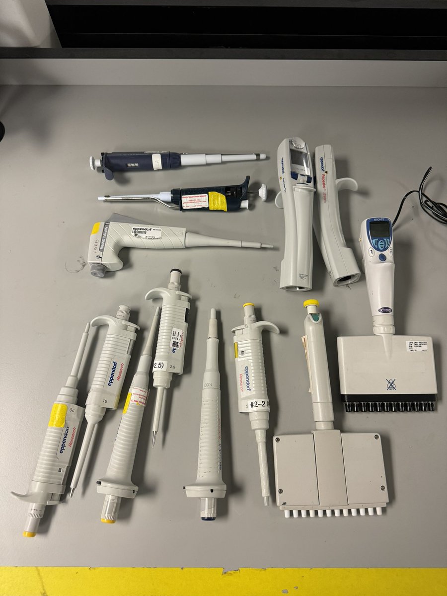 edispositions's tweet photo. Pipettes Pipettes Pipettes !!

You can never have too many #pipettes !
Grab some more at our upcoming auction opening Feb 06 ! 

More details ⬇️ 

https://t.co/ZYsIoKybbi https://t.co/WTvya49Qsa