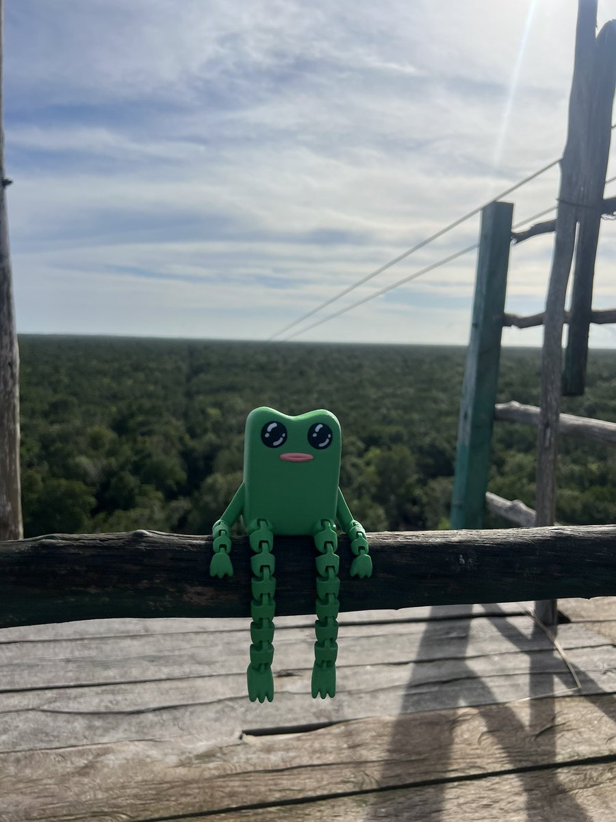 juicedup001's tweet photo. fwog higher https://t.co/9rCqS7NaVZ
