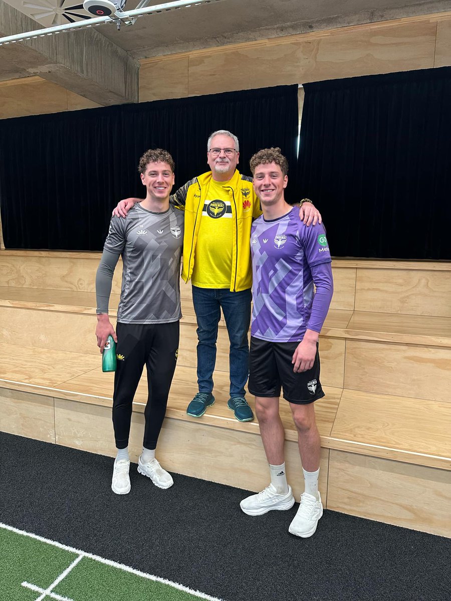 Little Corner of Yellow - Te Kāhu o ngā hau e whā tweet media