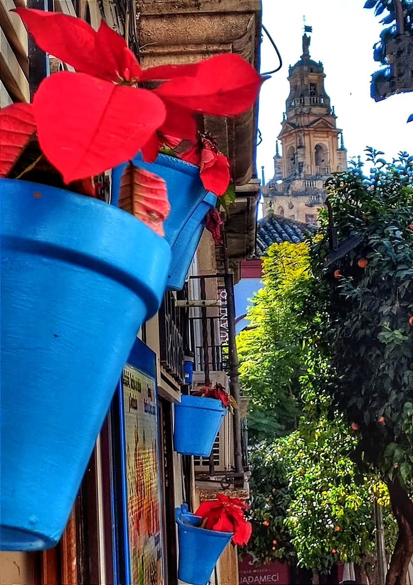 💙 Pero qué bonita eres...

#CórdobaEsp
