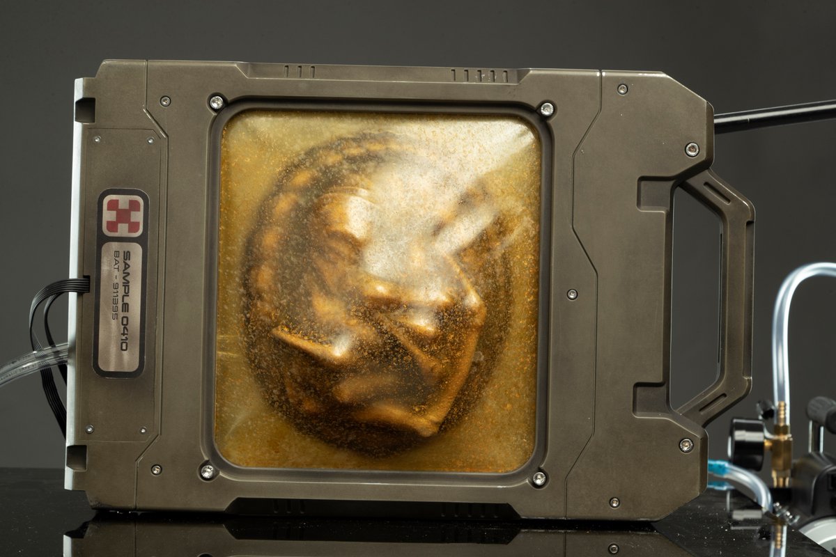WetaWorkshop's tweet image. What would a dimly lit space station with a laboratory be without an alien-holding briefcase? As part of our design and manufacture work for #AlienRomulus, we crafted several cryo-frames — and larval extraterrestrials to go inside them.
#wetaworkshop #practicaleffects