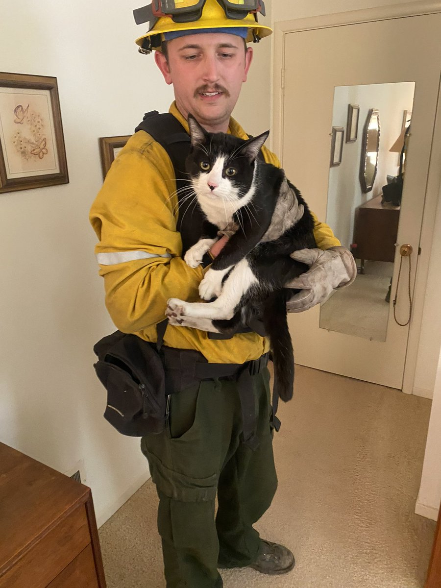PIOErikScott's tweet image. 🚨 Compassion in Action 🚨

During #PalisadesFire operations, #CalFire’s Michael Deleo and Oregon Strike Team 12 rescued a black-and-white cat, now named “Domino,” found dehydrated and hungry near an unburned structure. After some food, water, and care, Domino showed a sweet and…
