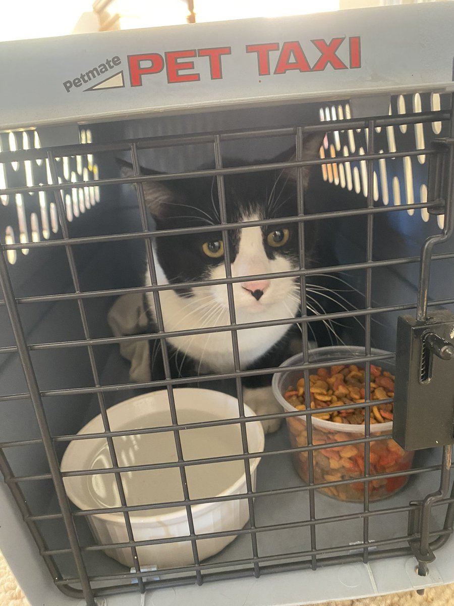 PIOErikScott's tweet image. 🚨 Compassion in Action 🚨

During #PalisadesFire operations, #CalFire’s Michael Deleo and Oregon Strike Team 12 rescued a black-and-white cat, now named “Domino,” found dehydrated and hungry near an unburned structure. After some food, water, and care, Domino showed a sweet and…