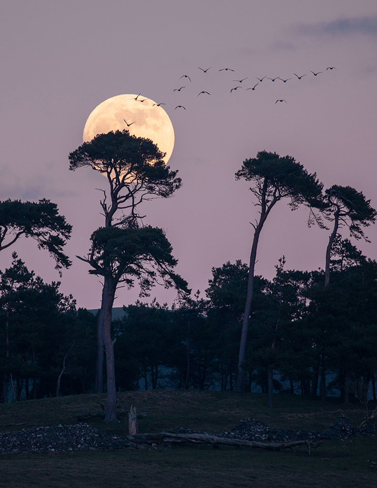 Yorkshire Dales National Park tweet media