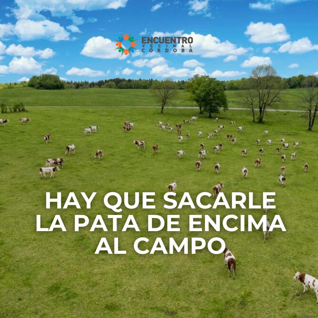 RodrigoAgrelo tweet media