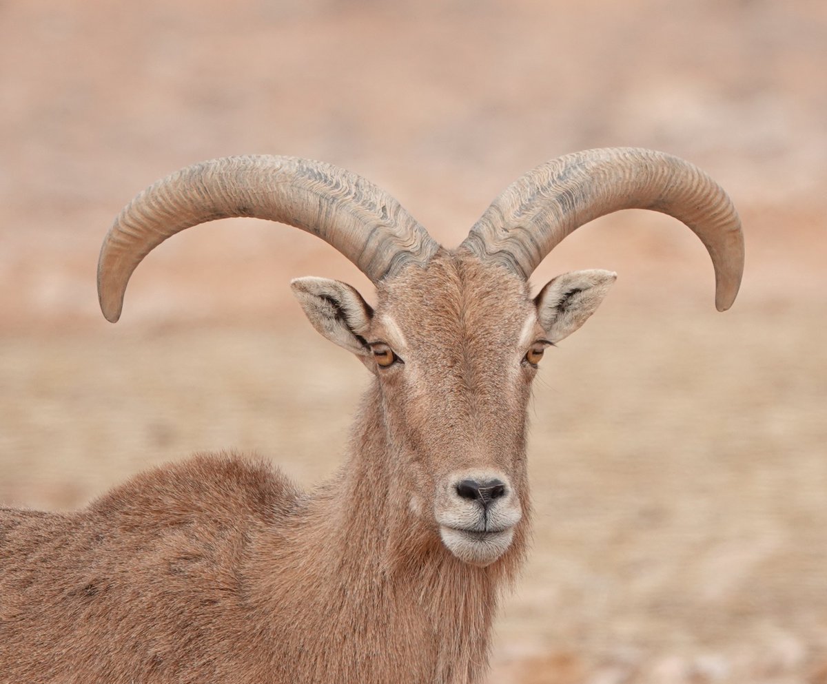 Martin Pitt tweet media