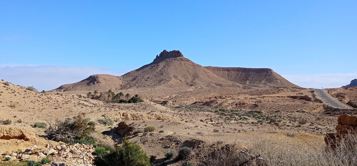 Martin Pitt tweet media