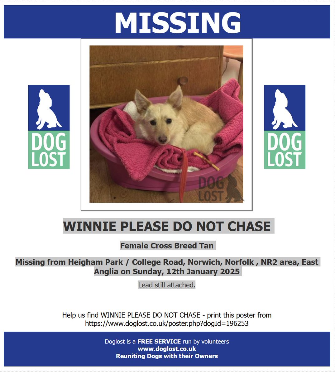 #LOST #DOG WINNIE  PLEASE DO NOT CHASE Female Cross Breed Tan Missing  #Norwich #Norfolk , #NR2  Sunday, 12th January 2025 doglost.co.uk/dog-blog.php?d… <a href="/VetsGetScanning/">MakeChipsCount to Reunite Pets</a> <a href="/EDP24/">Eastern Daily Press</a> <a href="/scoper71/">Sue Pemberton 🎪</a> <a href="/mimi_x4/">Missy B 🌊🌊💙🟧 💜</a> <a href="/WestieBiscuit/">🐶 GENERAL SHORTCAKE</a> <a href="/Morrismunch/">Mon</a> <a href="/Maria_Wildlife/">MariaB🐶🐕 Fergie, Tessa & Mr. Trebus 🌈❤️</a>