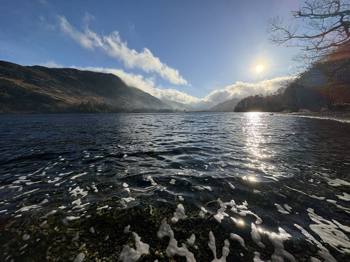 Sally Miles tweet media