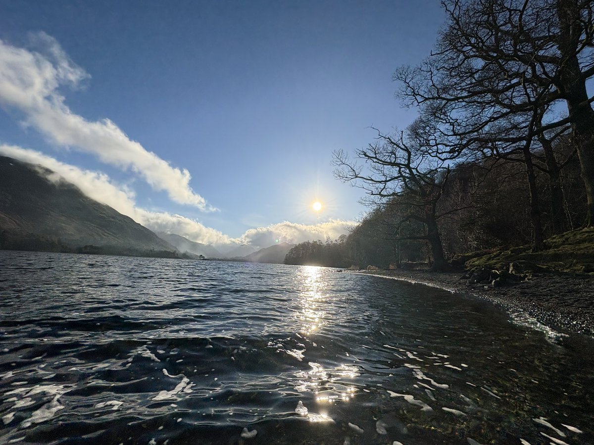 Sally Miles tweet media