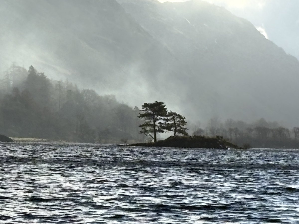 Sally Miles tweet media