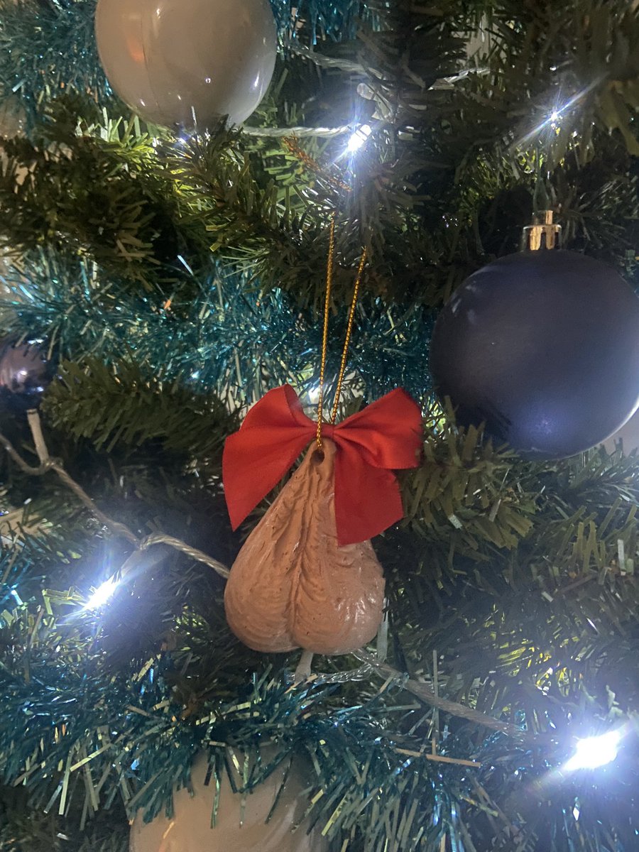 Sinister_Vapes's tweet photo. Taking down my xmas tree . Ill miss the holidays 🎄 https://t.co/JxMu24veUP