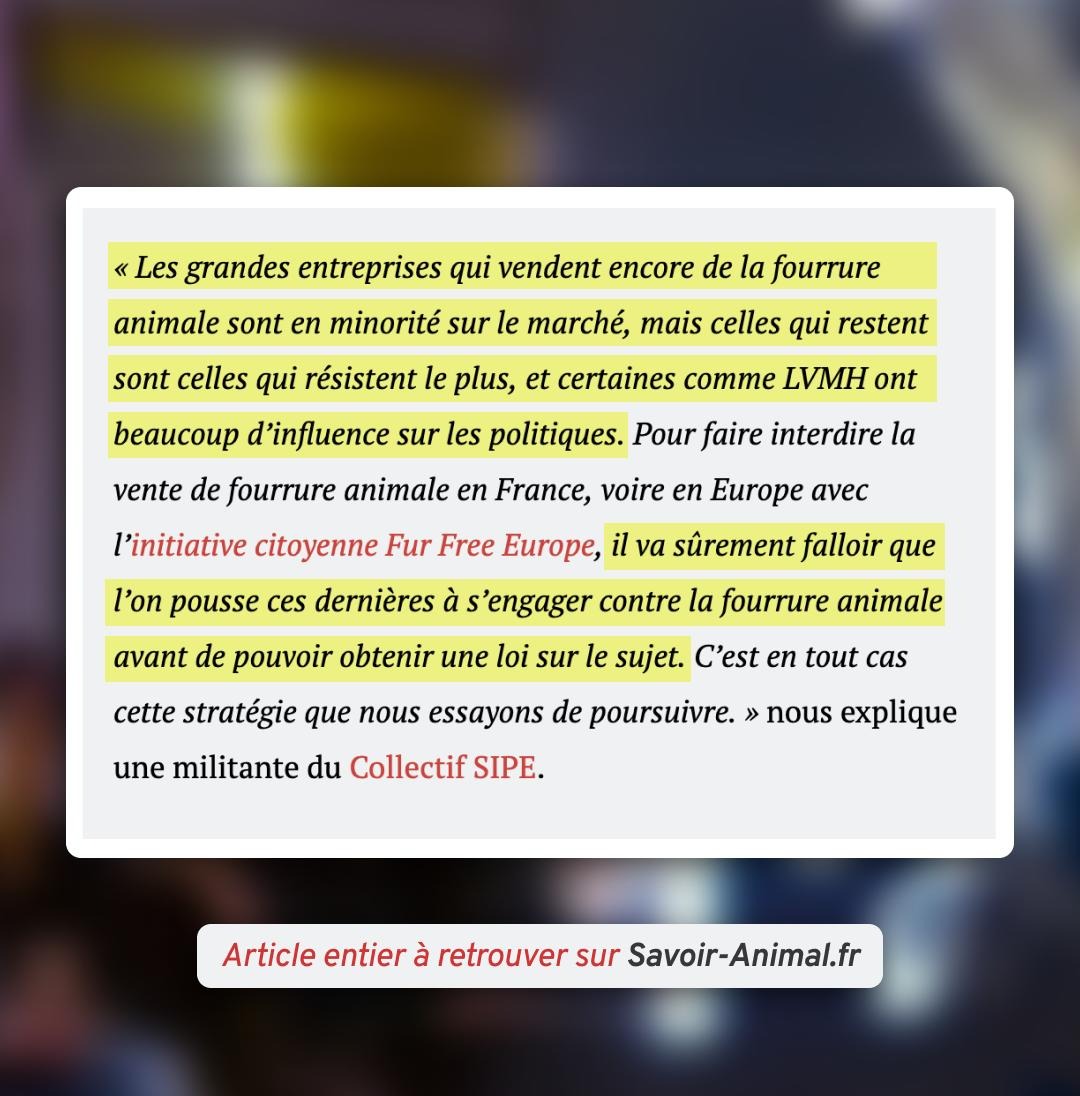 Collectif SIPE tweet media