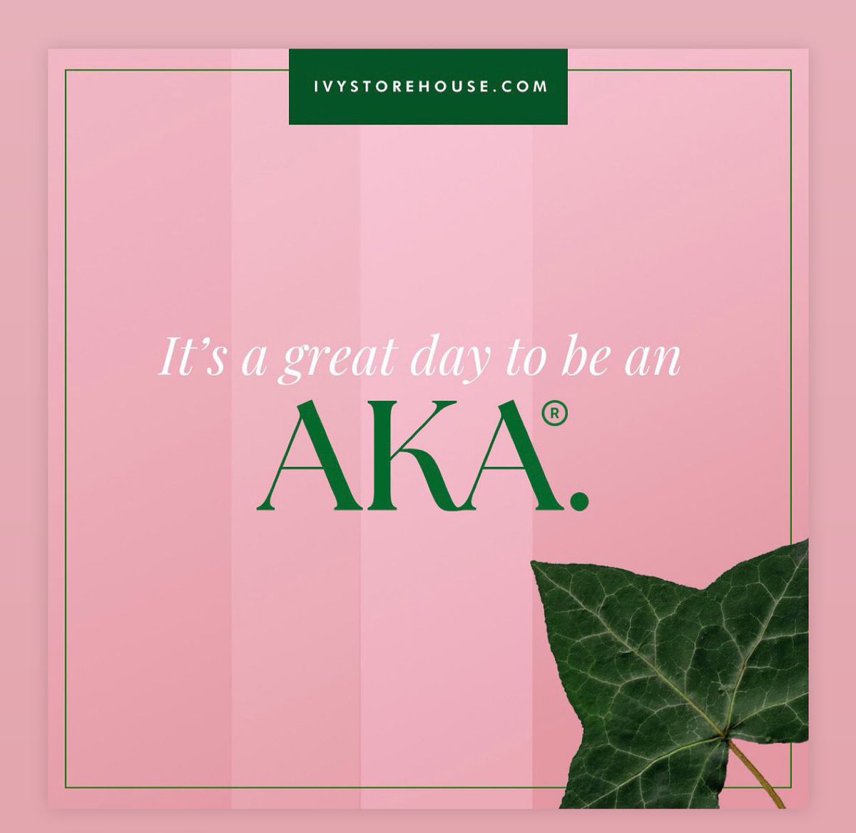 prettydee_08's tweet photo. Happy Founders’ Day To Myself &amp; My Oh So Pretty Educated Sisters of Alpha Kappa Alpha Sorority, Incorporated® 🩷💚! 

#PhirstAndPhinest #AKAFoundersDay #117YearsOrService #AKA1908 #SophistocatedSouthEatern #SoaringwithAKA #PrettyAndEducated #Service #Scholarship #Sisterhood https://t.co/f0DRfD5Rqw