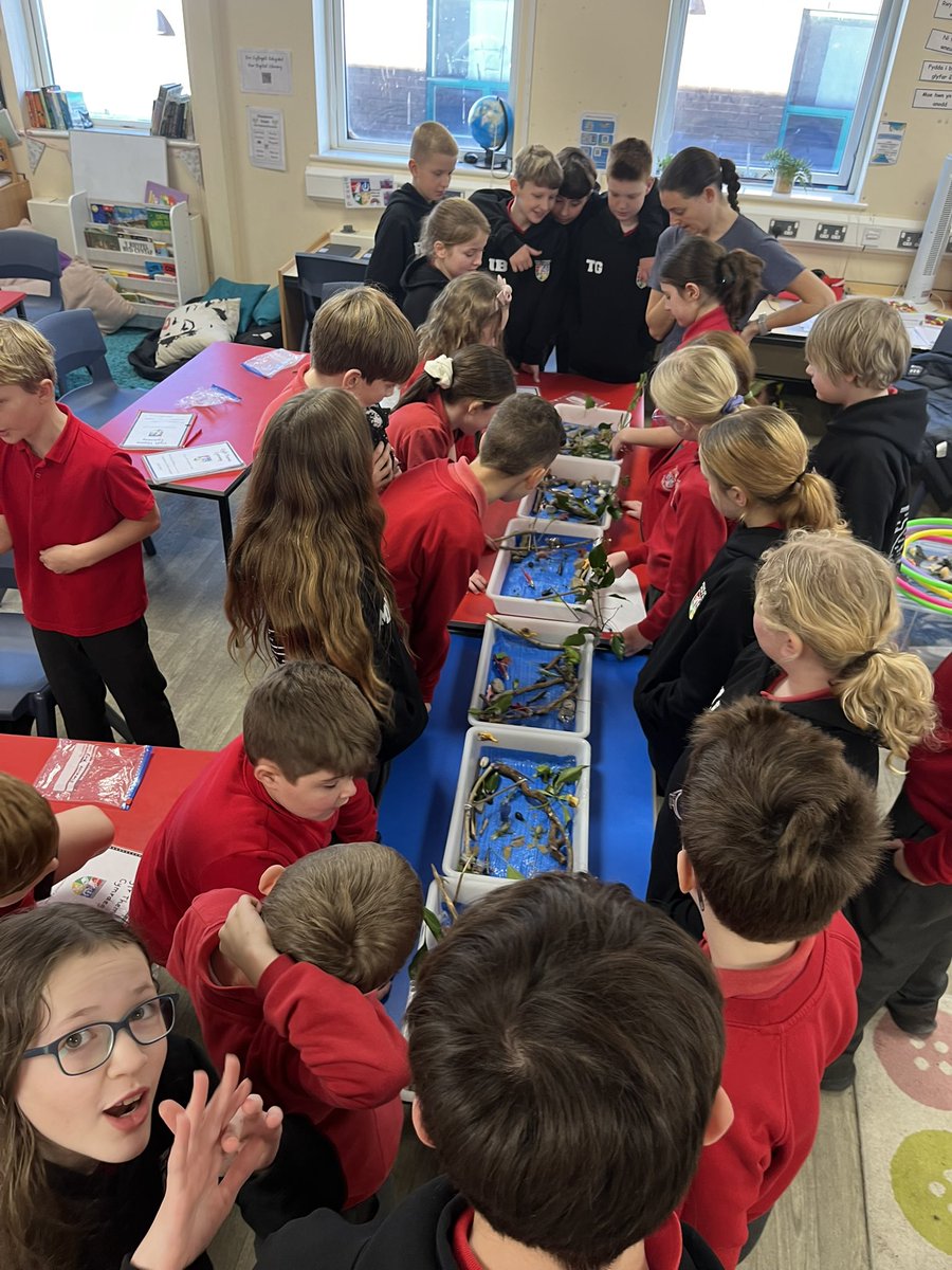 5a6PYG's tweet photo. Cawsom hwyl wrth ddysgu am afonydd heddiw! We had fun learning about rivers today! https://t.co/6Ypo78FATY