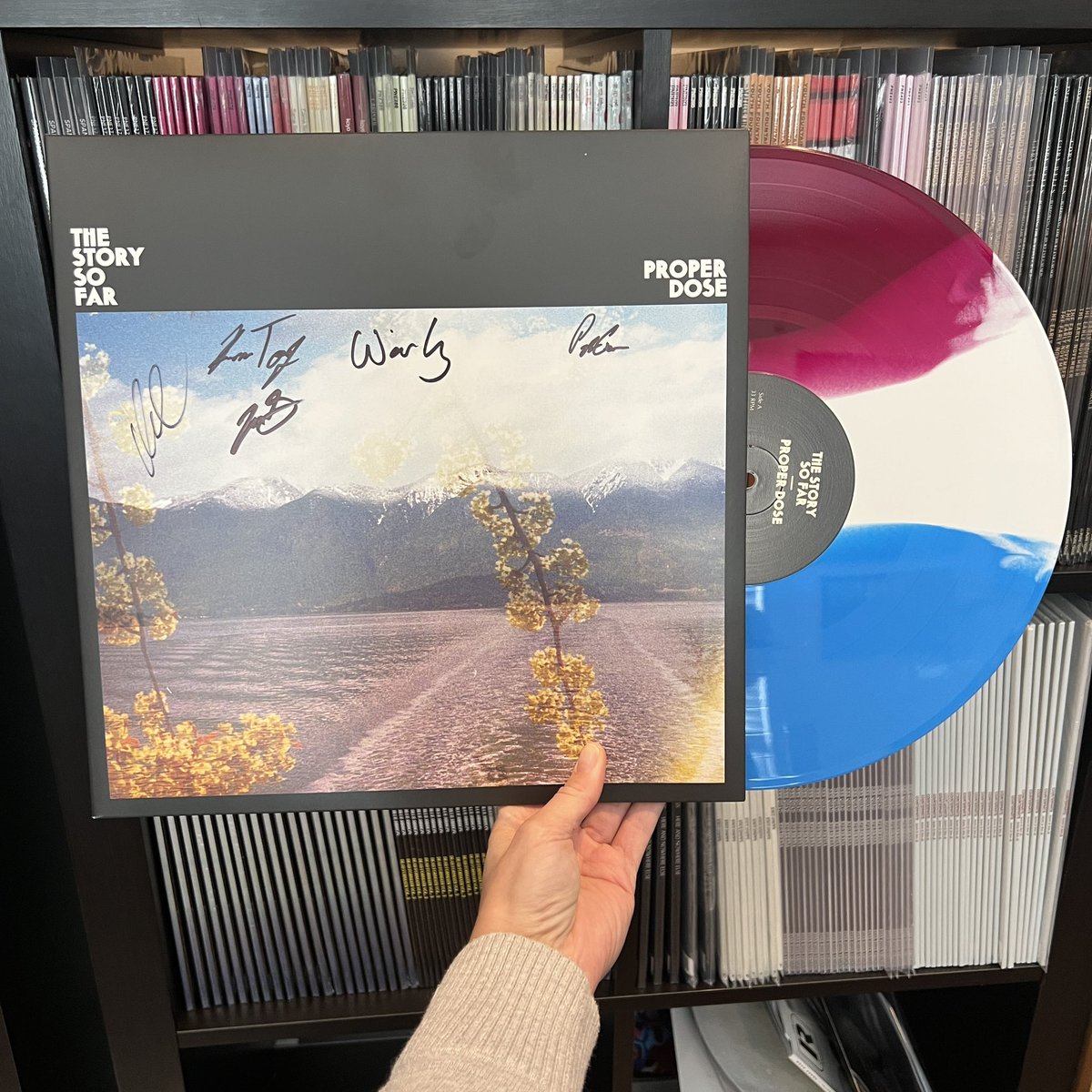 Pure Noise Records tweet media