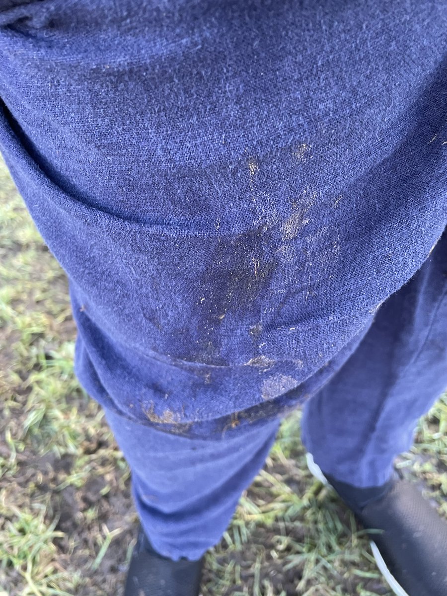 aibhbs's tweet photo. My dopey mum surprised me with a visit to the #securefield today as she felt ok BUT once we got there she realised she had forgotten her wellies and field was rather #wetandmuddy.  So she had #coldwetfeet for an hour but I had great fun. Hot showers when we got home. #DogsofX https://t.co/BCnUYkyxji