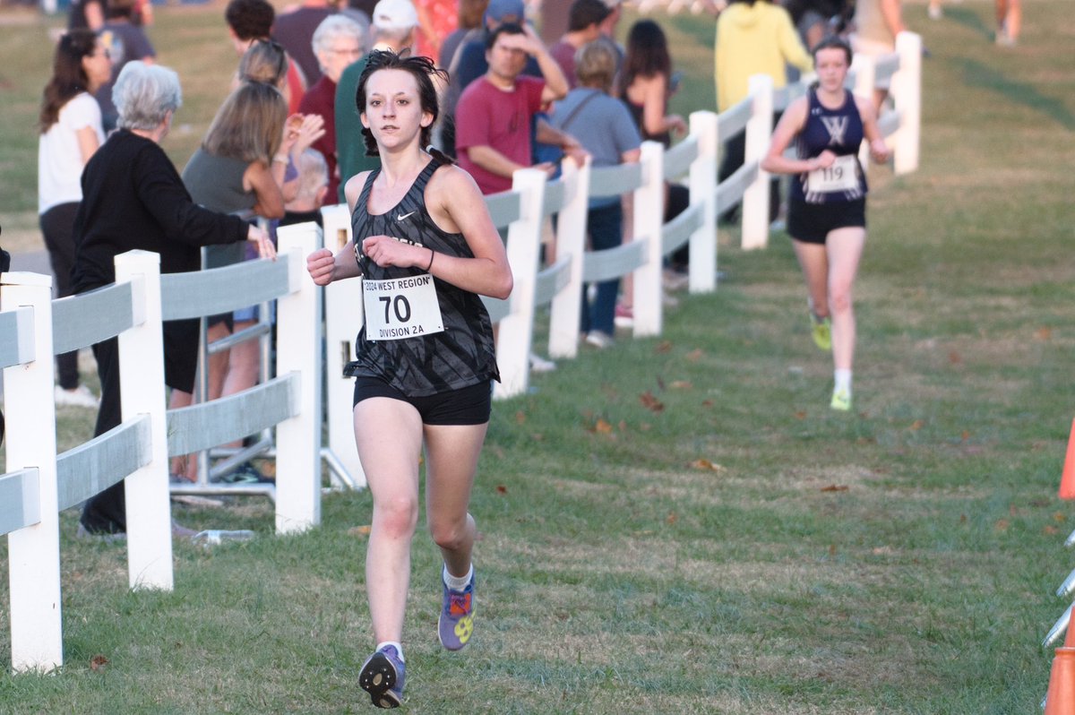 Gryphon XC tweet media