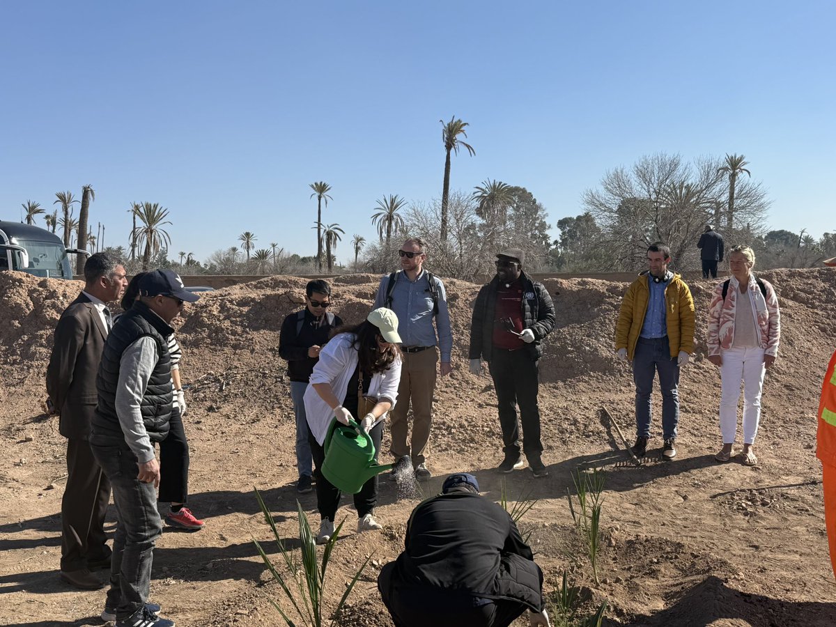 nadim_amal's tweet photo. Visite de l’équipe globale @UNDPbiofin à la palmeraie et à la forêt urbaine « Ghabt chebab » Marrakech. Un accueil très chaleureux et des échanges fructueux avec les partenaires du Programme Marrakech Ville Durable #Wilaya #Commune de Marrakech #fm6e #OPM @PNUDMaroc @MTEDDMAROC https://t.co/UDxm5w4bCA