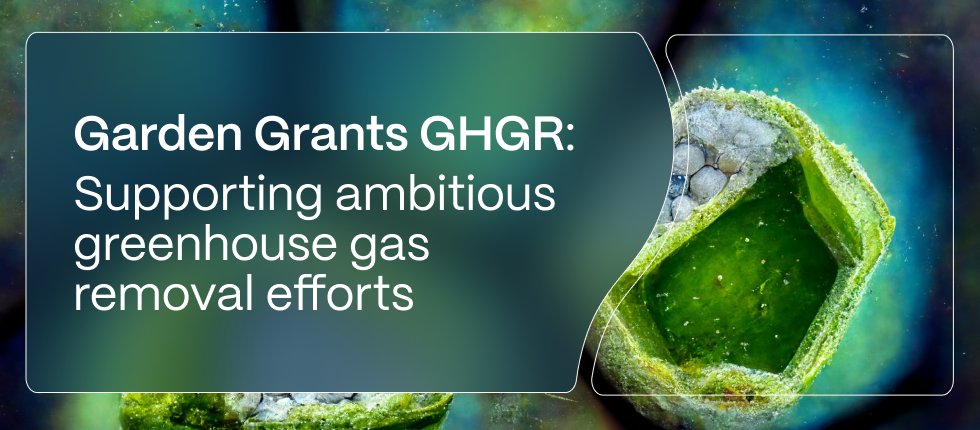 🌱 Garden Grants is back — this round focused on Greenhouse Gas Removal (GHGR)

Homeworld Collective is excited to launch our second Garden Grants program, offering $50k-$150k grants (up to $1M total) to de-risk innovative ideas intersecting biotechnology and GHGR.