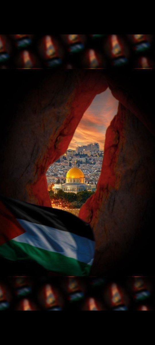 Bir sabah gelecek kardan aydınlık... #FilistineÖzgürlük #Hamas