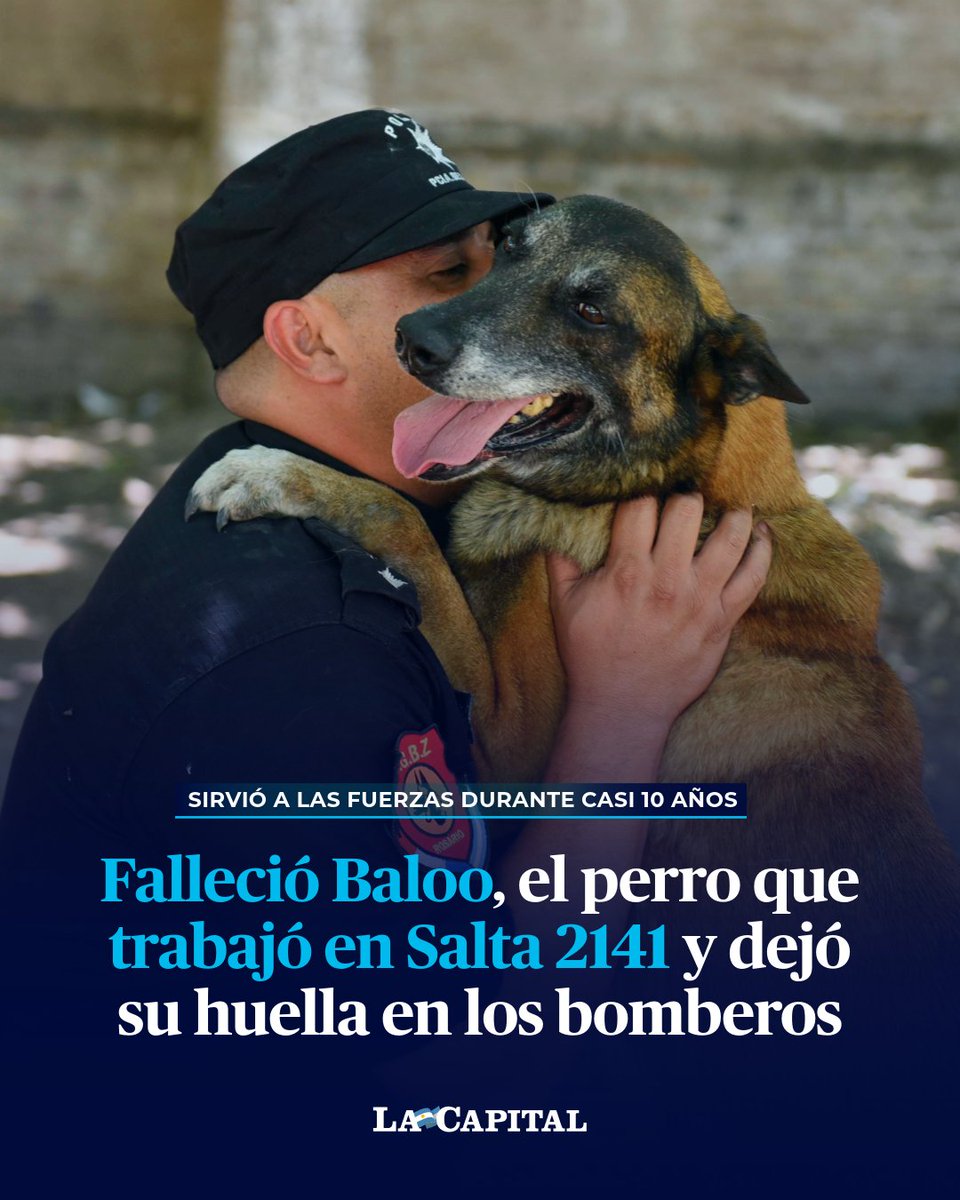 HASTA SIEMPRE, HÉROE 🥹

🐶❤️‍🩹 Leandro Rivero fue el guardián de Baloo, un ovejero belga malinois que sirvió a las fuerzas durante casi 10 años y participó en las búsqueda de Chiara Páez y de los sobrevivientes y fallecidos en la explosión Salta 2141.

😢 Leandro todavía está en