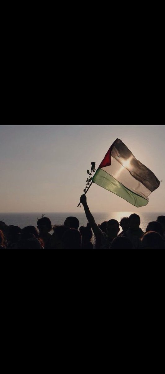 Zafer senin ,sevinç senin, izzet senin
İyi ki varsın hep var ol Gazze ❣️
#gazzeninzaferi