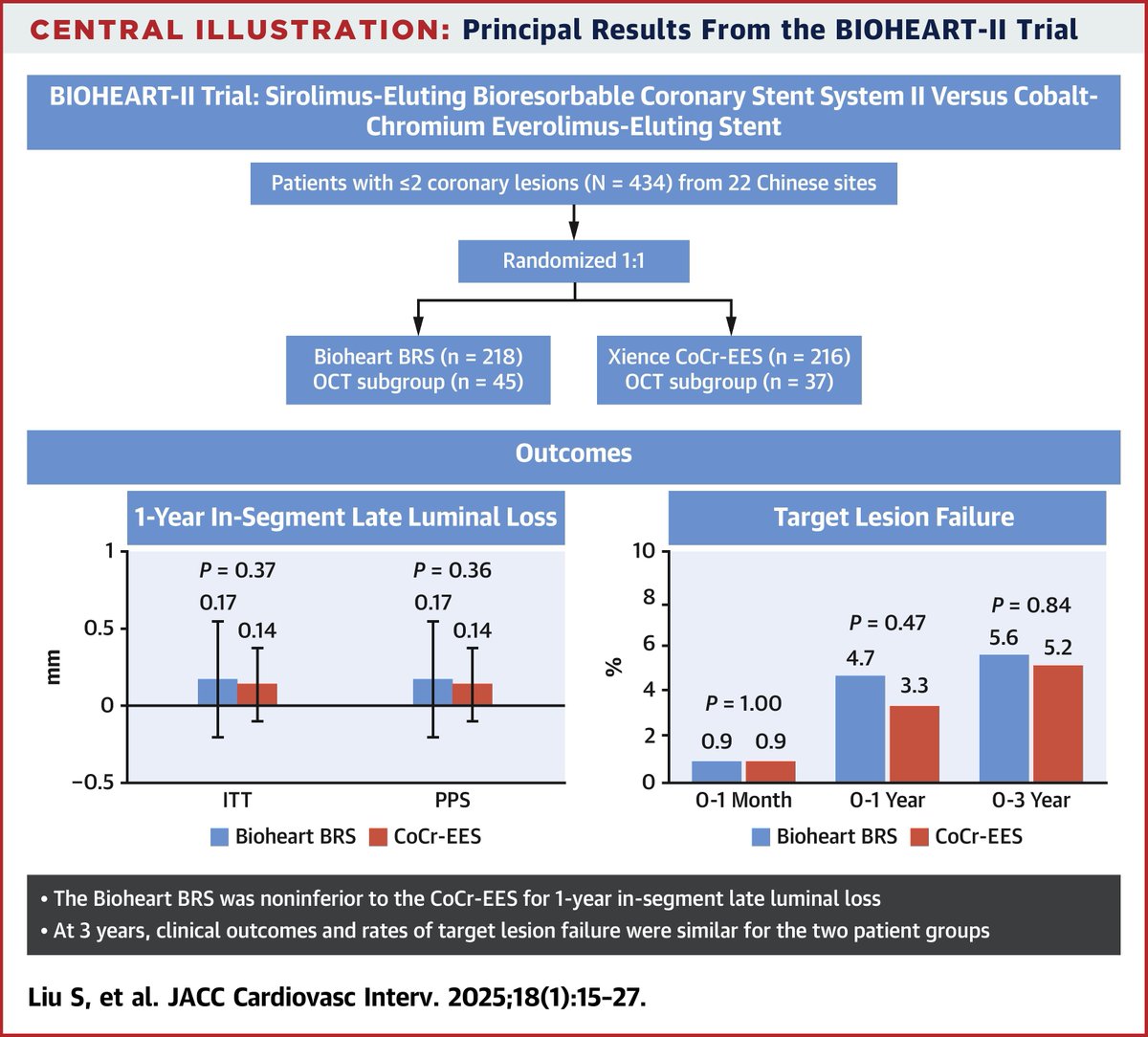JACCJournals's tweet photo. The #BIOHEART II #RCT demonstrated noninferiority of the Bioheart bioresorbable scaffolds compared to #DES for 1-yr in-segment late luminal loss and comparable #TLF at 3 yrs in-segment late loss, and resulted in a comparable 3-yr clinical outcome https://t.co/IbfaaW5ulg #JACCINT https://t.co/FwV6iW9P5D