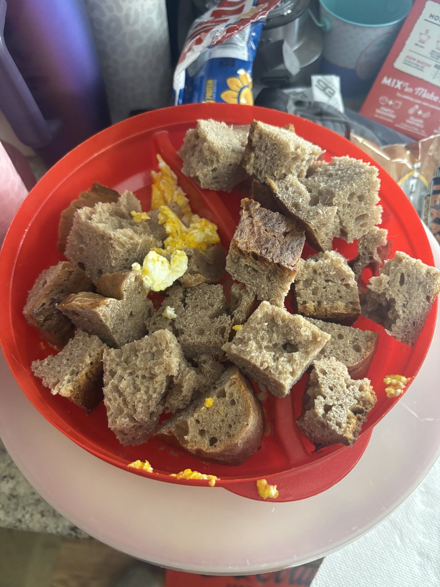 Reflix661's tweet image. My chickens are getting a special treat today. We fried their first egg over my wife’s first sour dough bread. The egg was tiny, and the sour dough was a little off, but we are working on it. Only up from here!! #ChickenTender #HappyChickens
