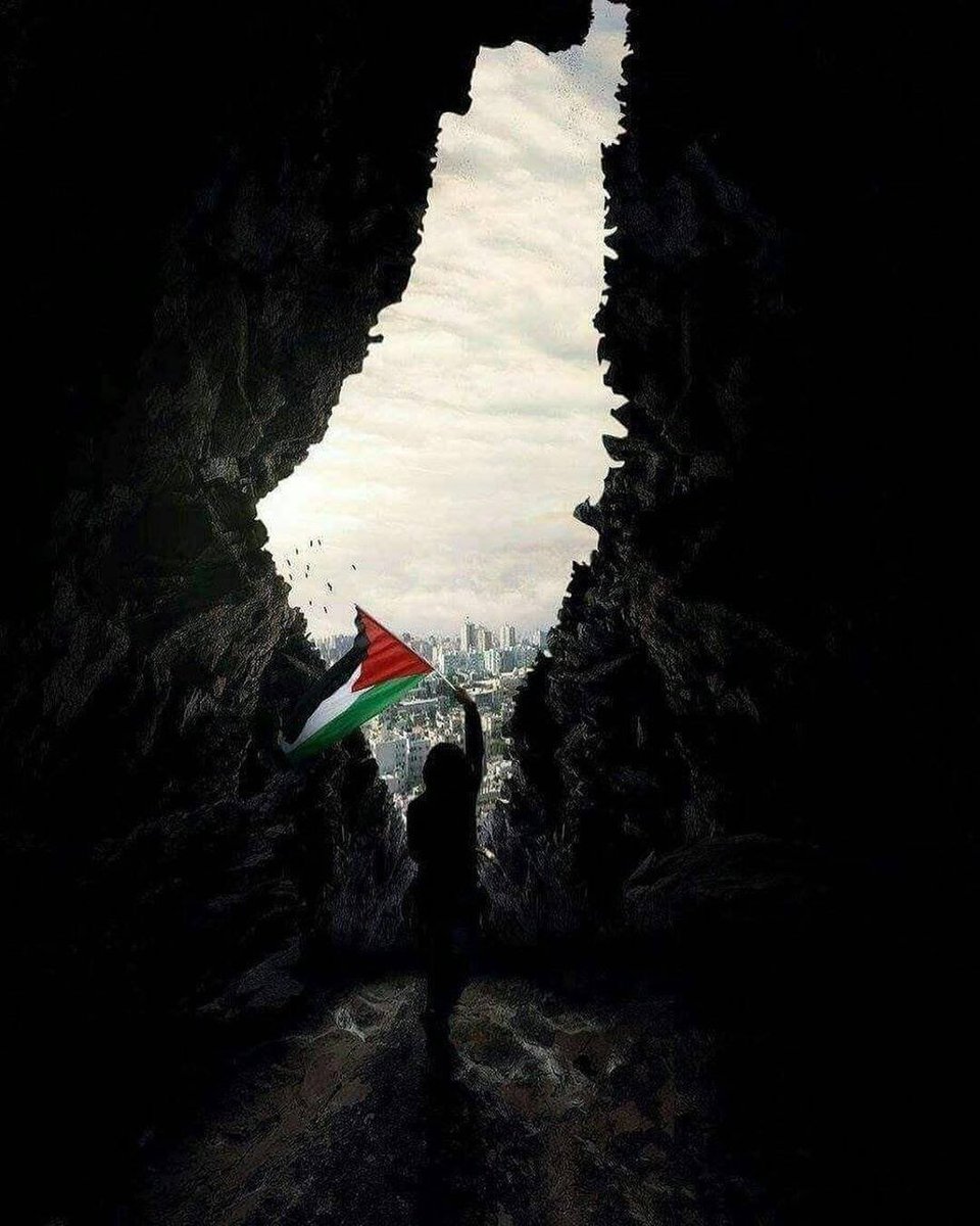 Muhammednce2023's tweet photo. Bir sabah gelecek kardan aydınlık! 🇵🇸

#Gazze https://t.co/lNRWLNA7He