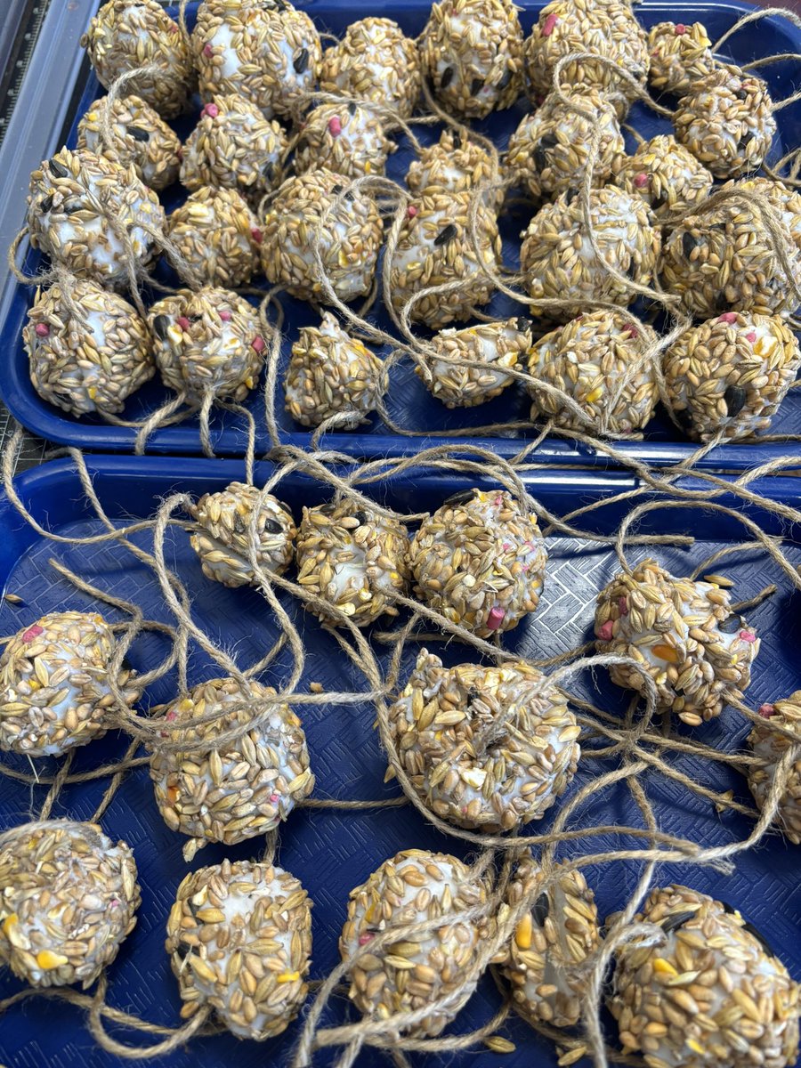 Our Eco-Committee has been busy today preparing Bird Feeders in readiness for our birdwatch. #EcoNanty <a href="/RSPBCymru/">RSPB Cymru</a> @EcoSchoolssouth