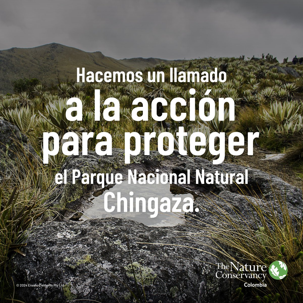 TNC_Colombia's tweet photo. Si bien ya no hay fuego en Chingaza, el ecosistema perdió 147 hectáreas, un territorio de páramo equivalente a 199 campos de fútbol.  ⚠️🌍

Es urgente tomar medidas preventivas y ser conscientes del impacto. Si detectas cualquier indicio de incendio, no dudes en alertar a las autoridades. 🔥👨‍🚒

🌿 ¡Cuidemos nuestros recursos naturales! 🌱

#PáramoChingaza #Chingaza #ProtegeChingaza #CuidemosElAgua #AcciónPorElPlaneta #Páramos #Conservación