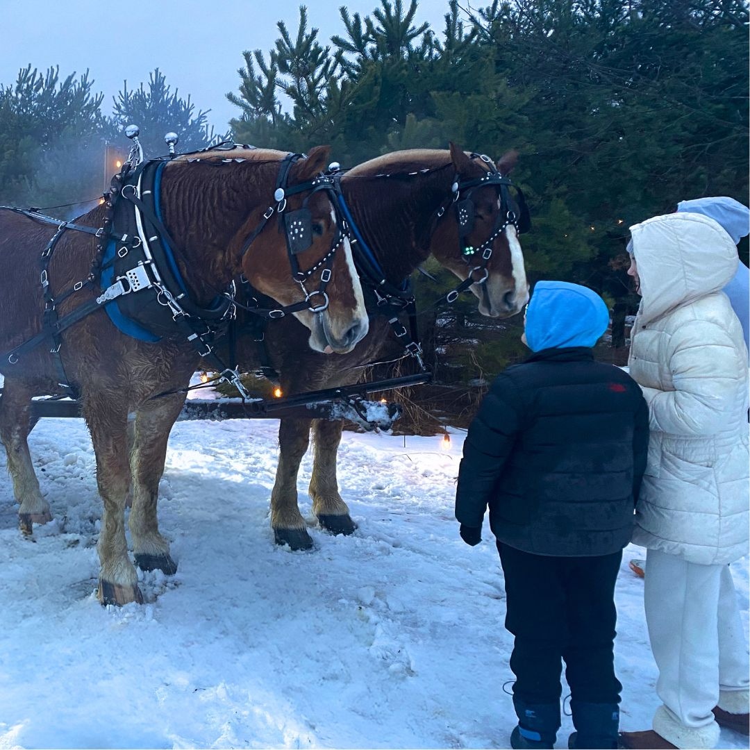 Treetops Resort tweet media