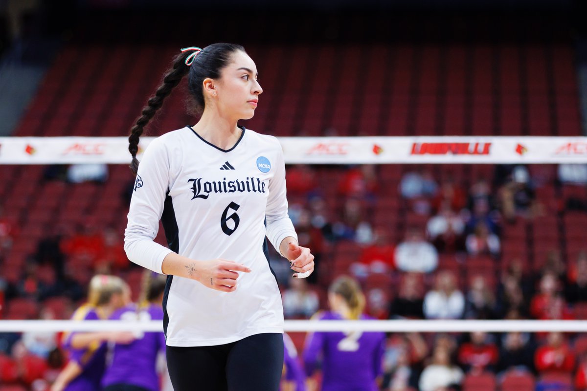 Louisville Volleyball tweet media