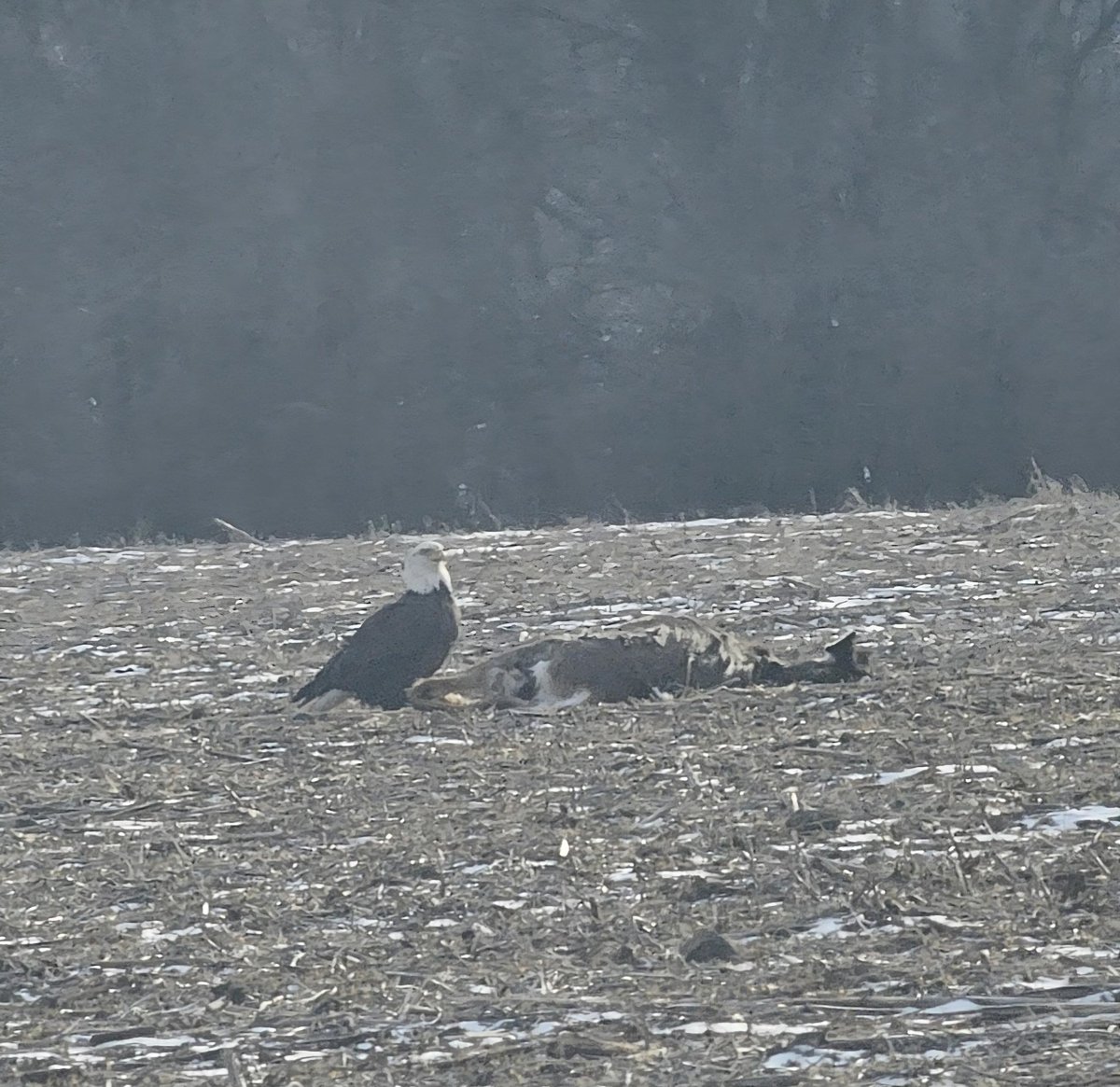 Waukesha Alerts tweet media